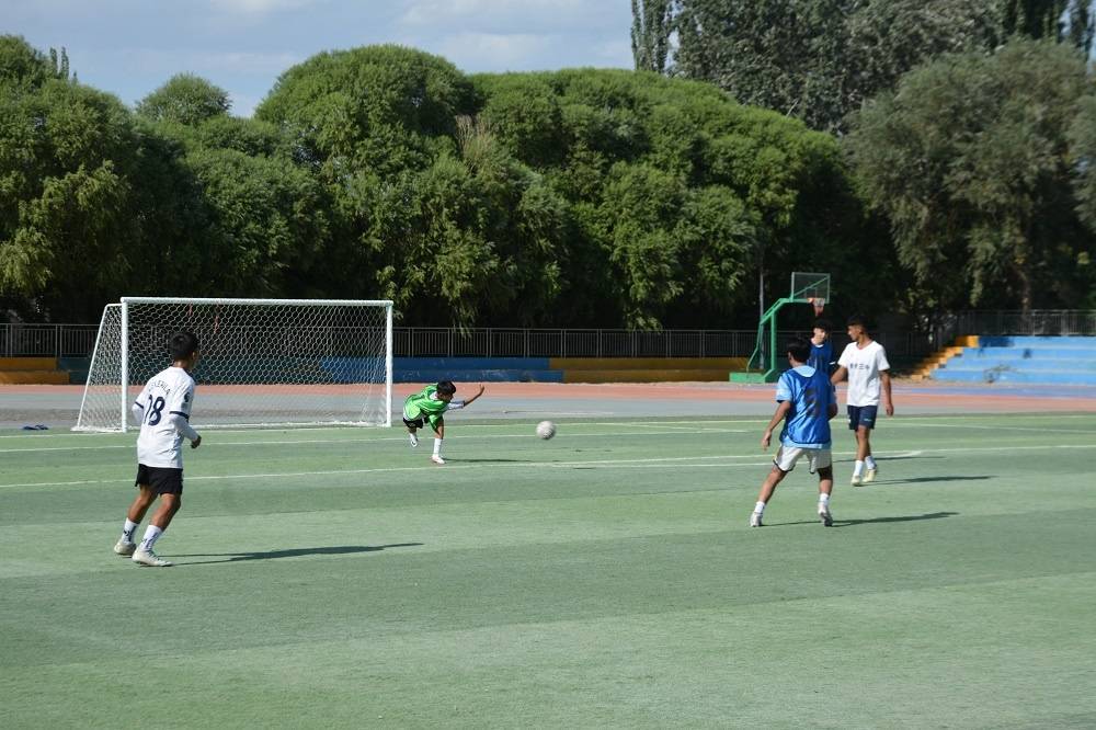 轮台县阳霞镇“白杏杯”足球赛开幕