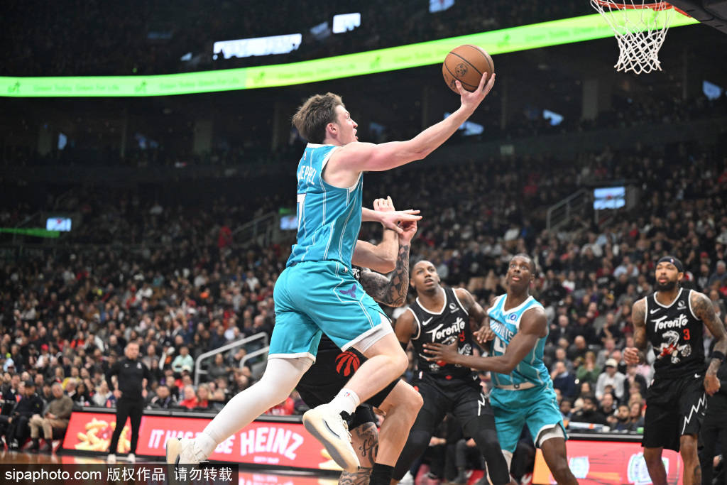 夏洛特黄蜂能否终结九连败？挑战东部第三多伦多猛龙